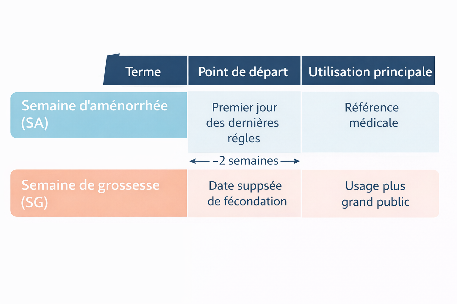 schéma explicatif de la différence entre semaine de grossesse et semaine d'aménorrhée